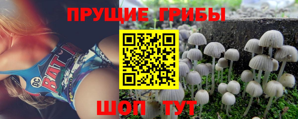 Галлюциногенные грибы MAGIC MUSHROOMS Реутов