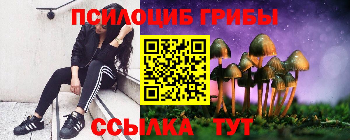 Псилоцибиновые грибы мухоморы  Вход с VPN  Реутов 